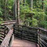 First Landing State Park