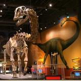 Fort Worth Museum of Science and History