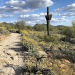 McDowell Sonoran Preserve