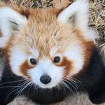 Sequoia Park Zoo