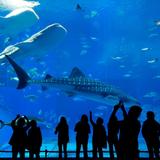 Virginia Aquarium & Marine Science Center