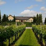 Wölffer Estate Vineyard