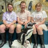 Shedd Aquarium