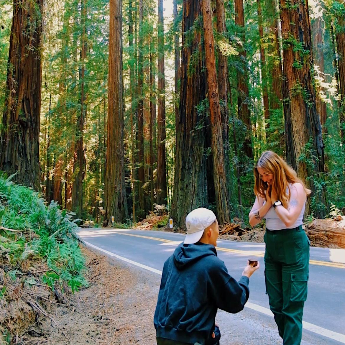 August 9th, 2024, the day Stephen proposed in the Avenue of the Giants!