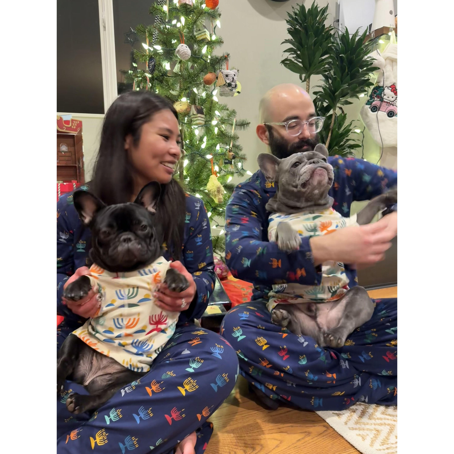 Our frenchie family is complete