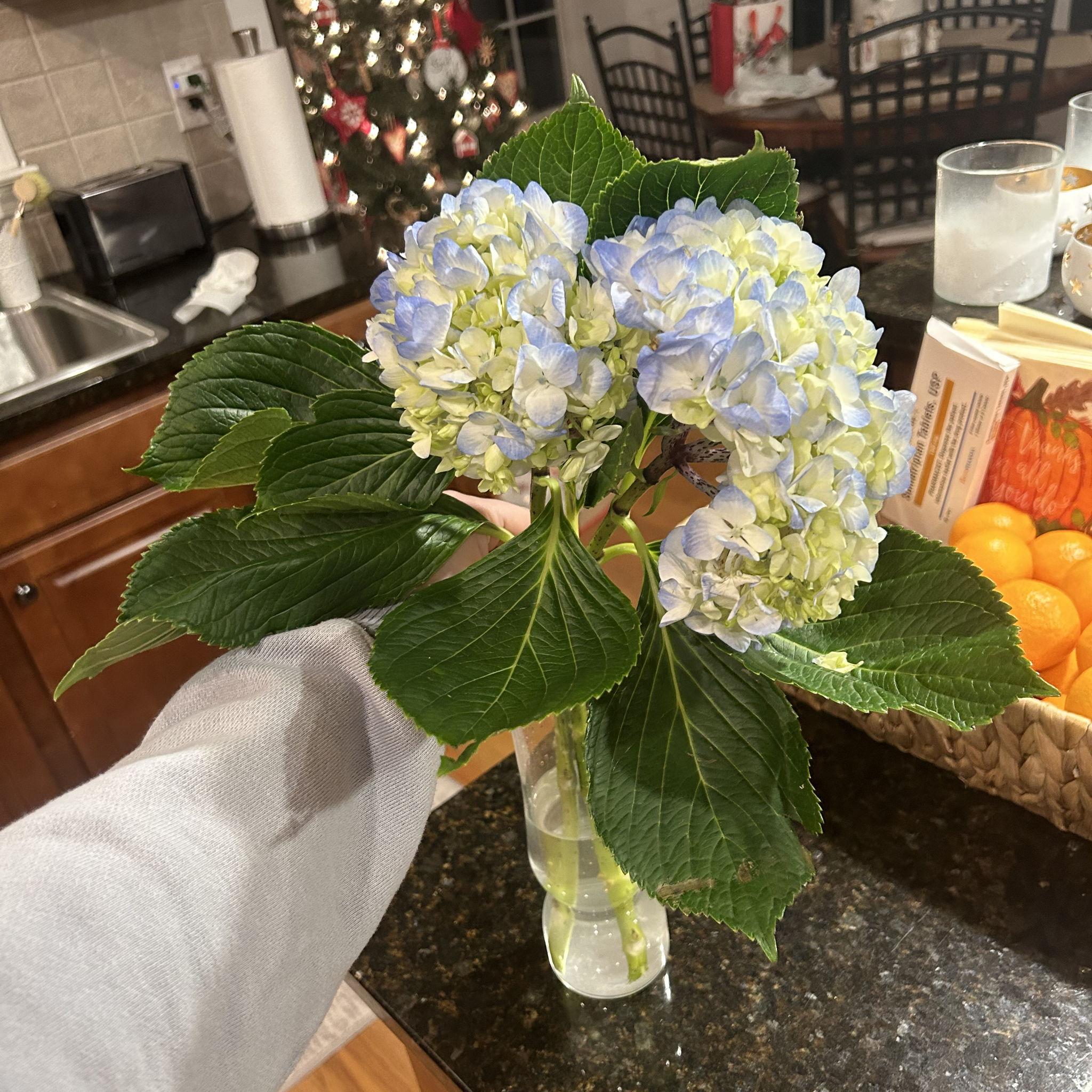 12/9/2023 
First flowers from Caleb!☺️