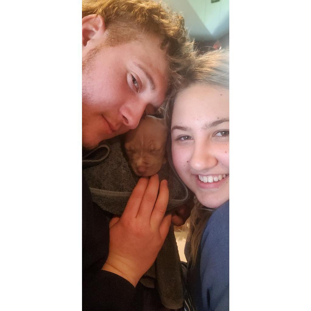 First Puppy Together