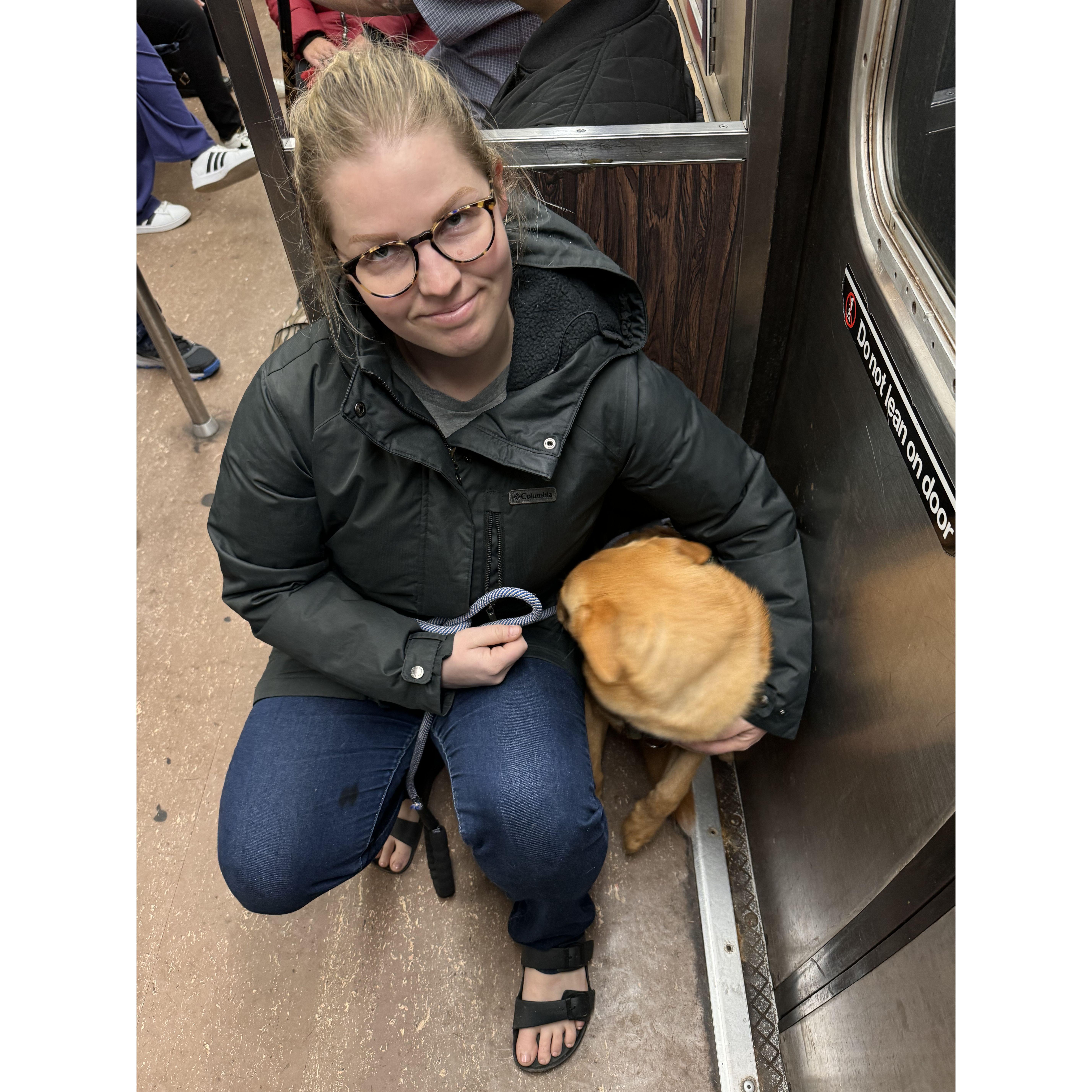 Coaxing our nervous Pup onto the Subway in NYC