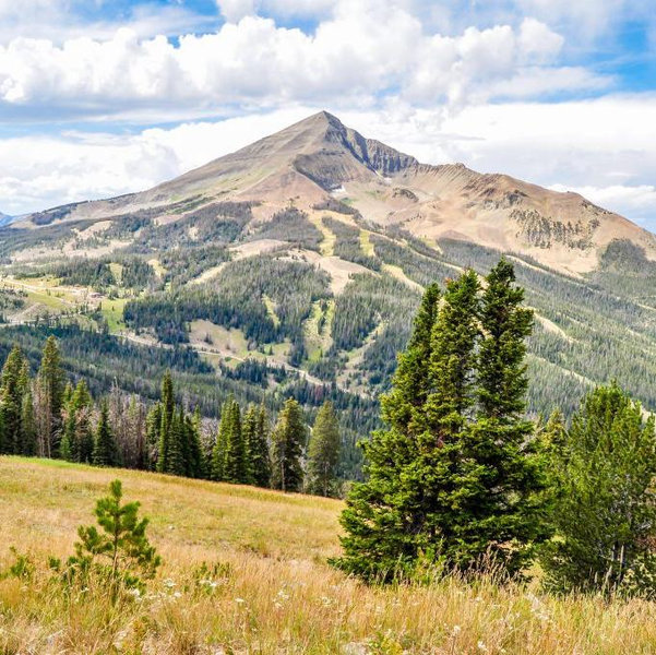Montana Honeymoon Fund