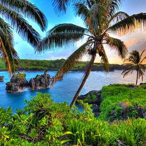 Our Hawaiian Honeymoon Fund