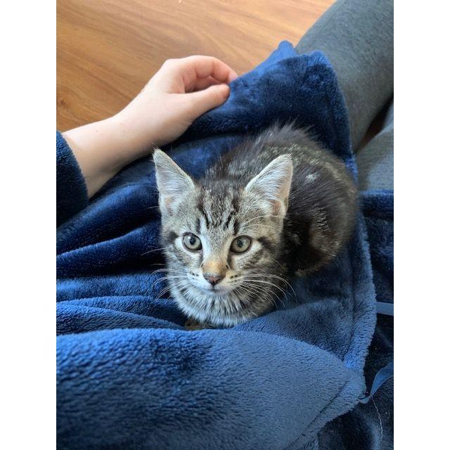 The newest addition to our little family, Baja Blast!