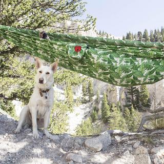 Printed Double Hammock