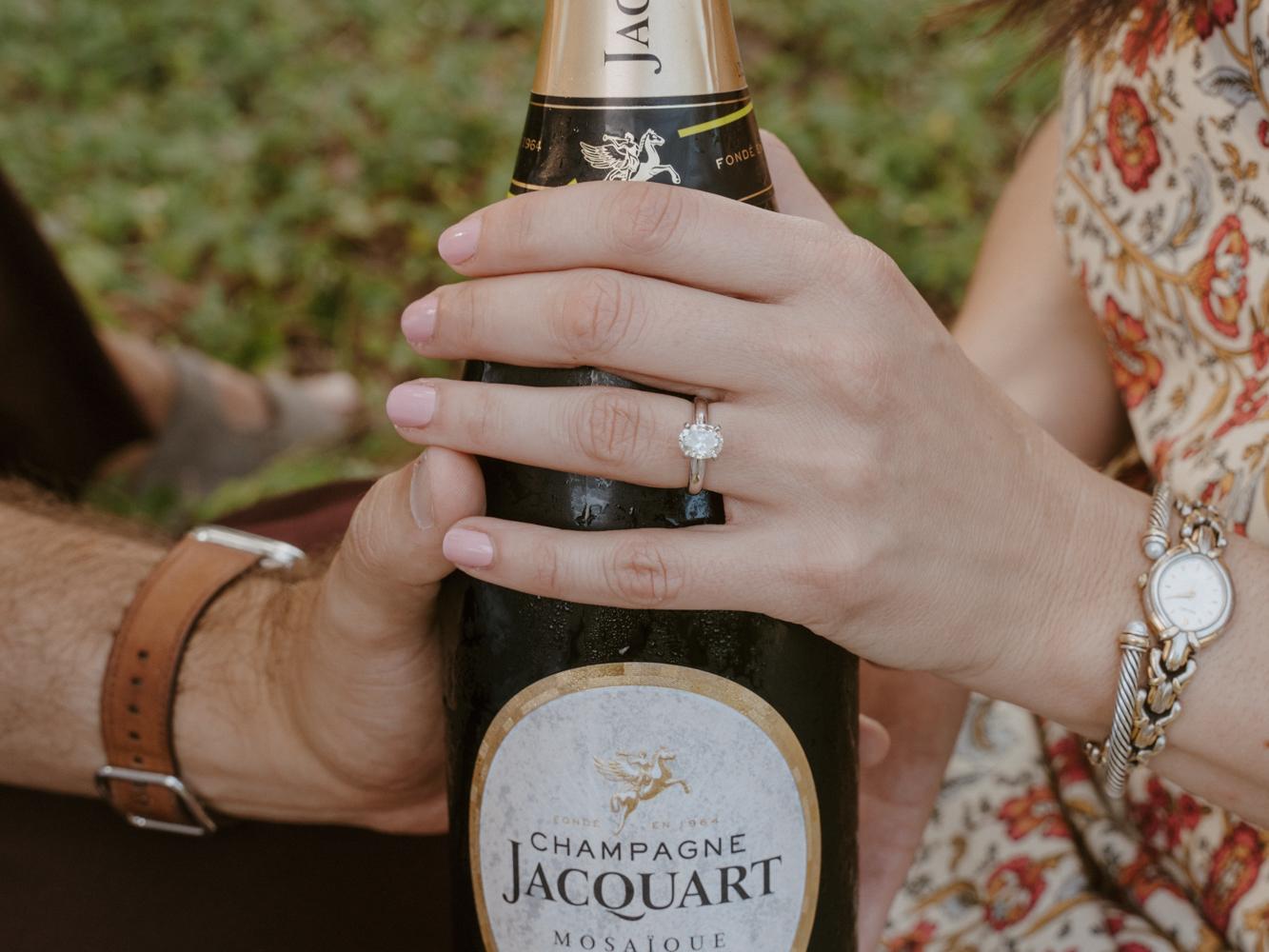 The Wedding Website of Christina King and David Purpura