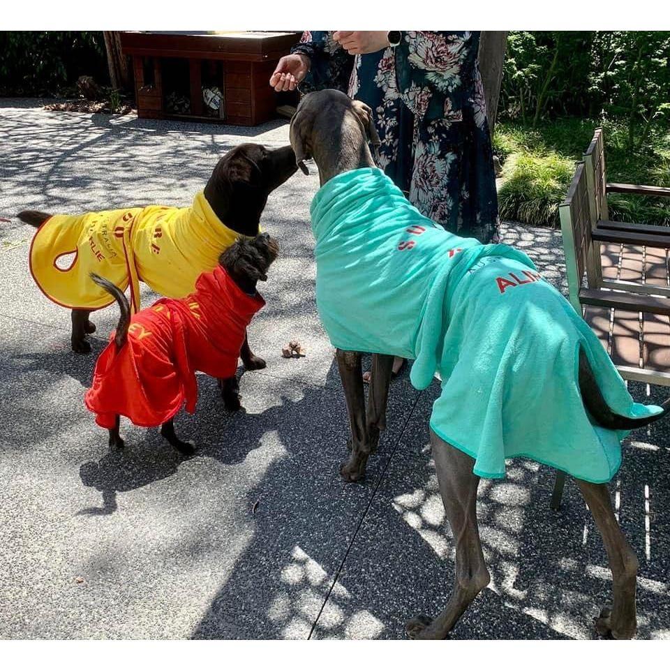 Fur Babys trying on their presents, Christmas 2022