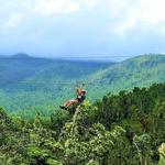 Rainforest Zipline Park