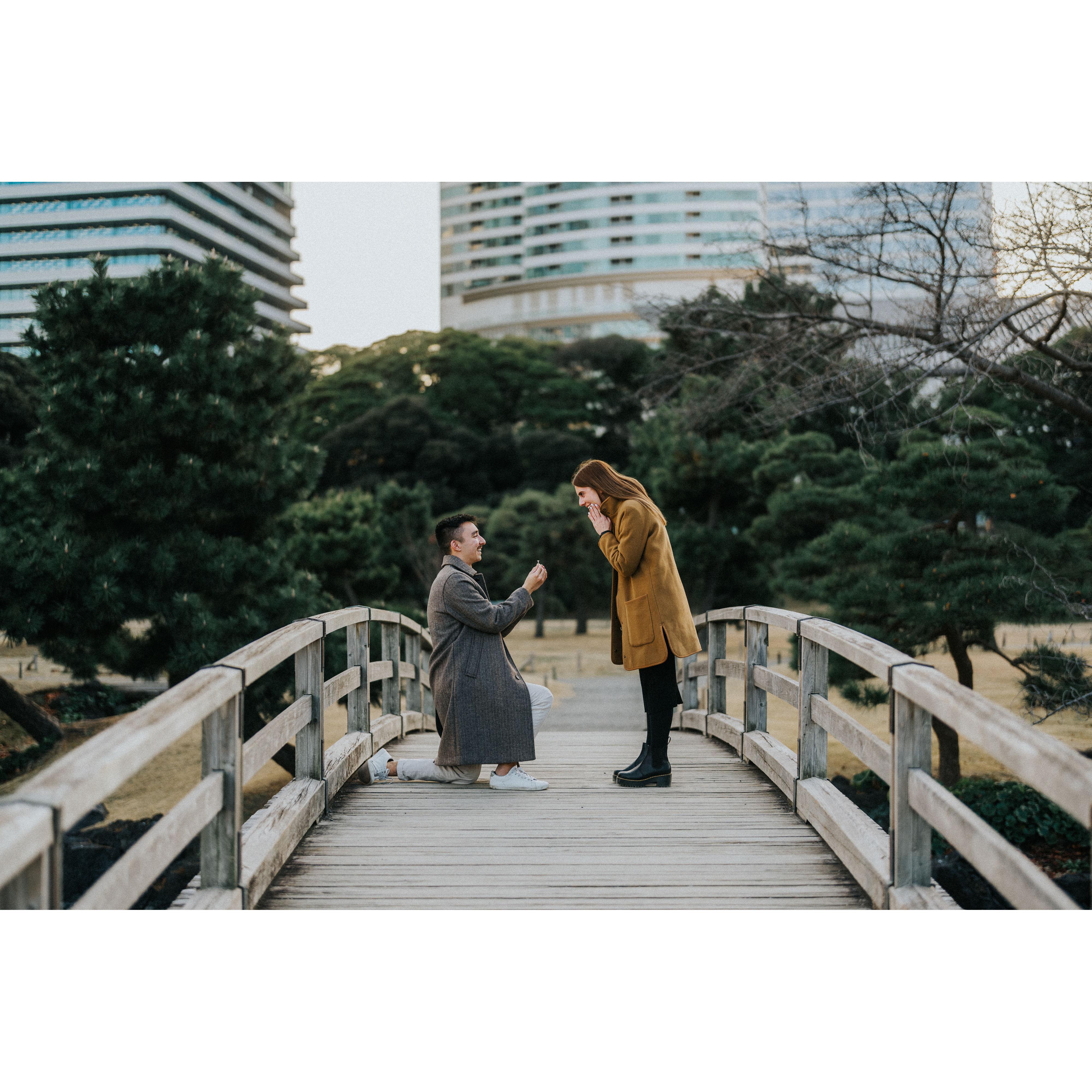 hamarikyu garden - WHILE Kelly is down on one knee