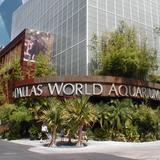 The Dallas World Aquarium