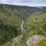 Blackwater Falls State Park