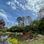 Birmingham Botanical Gardens