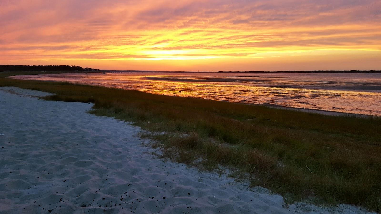 The Wedding Website of Karoline Brown and Michael McCoy