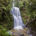 Berry Creek Falls