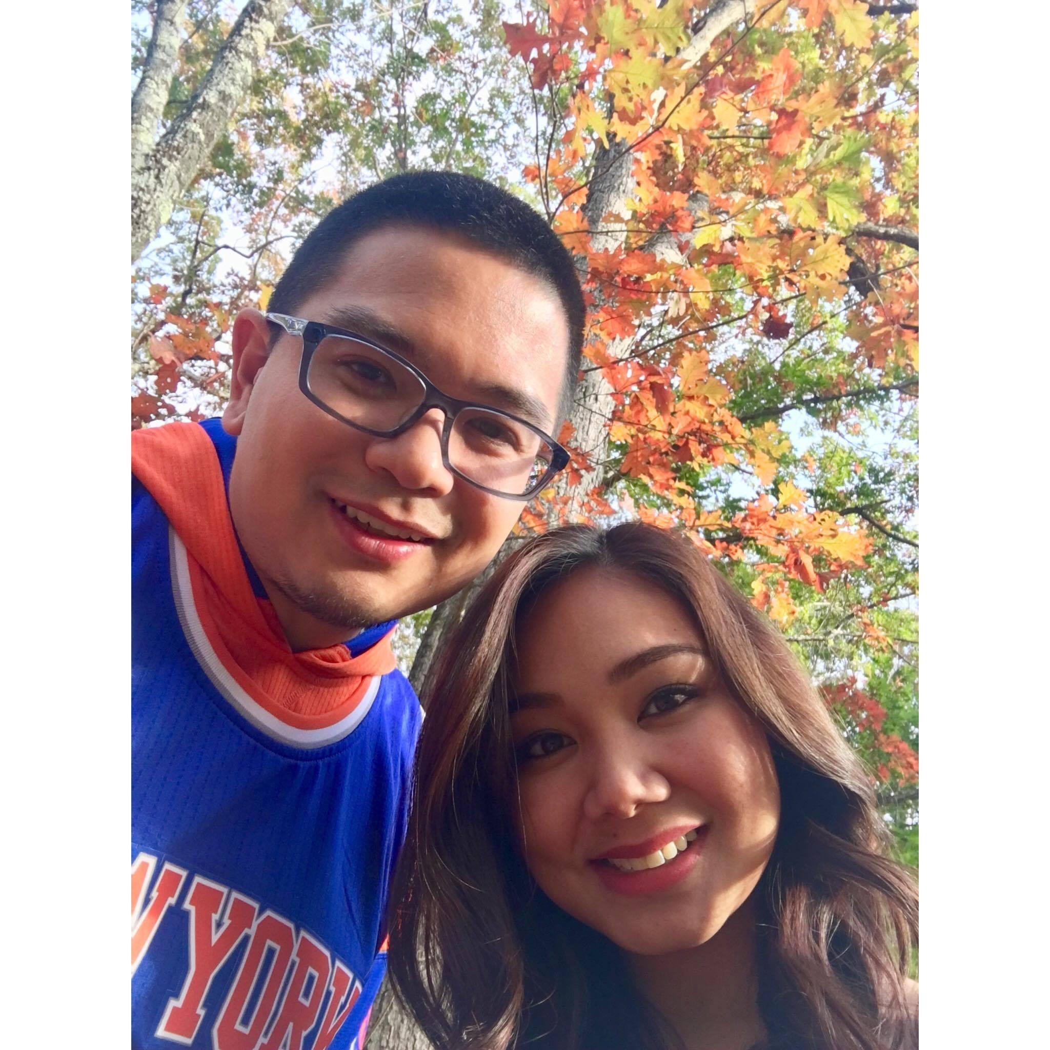 Fall Foliage