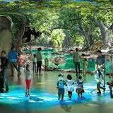 Saint Louis Zoo