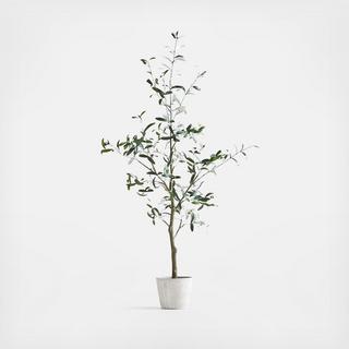 Potted Faux Olive Tree
