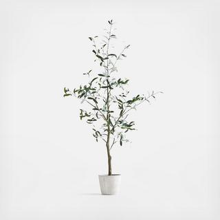 Potted Faux Olive Tree