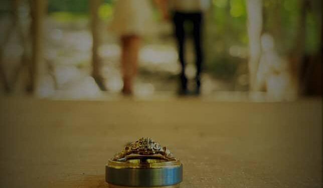 Hero Slideshow Image 0