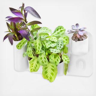 Happy Family Magnetic Wall Storage System
