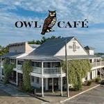 Owl Café