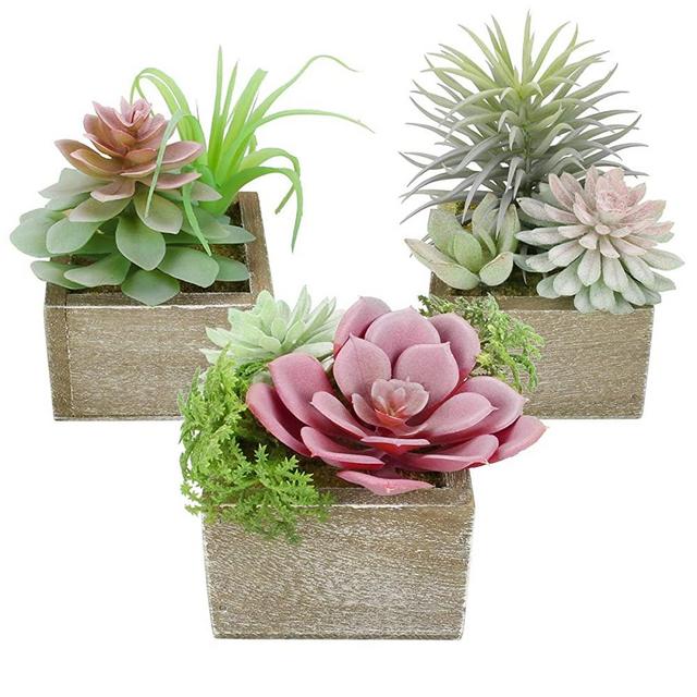 Mingfuxin Artificial Succulents Plants, Mini Assorted Green Fake Faux Succulent Plants Pots Potted for Home Office Living Room Table Desk Plants Decor, Set of 3