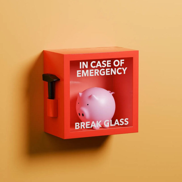 Adulting Sucks Fund (aka an emergency fund)