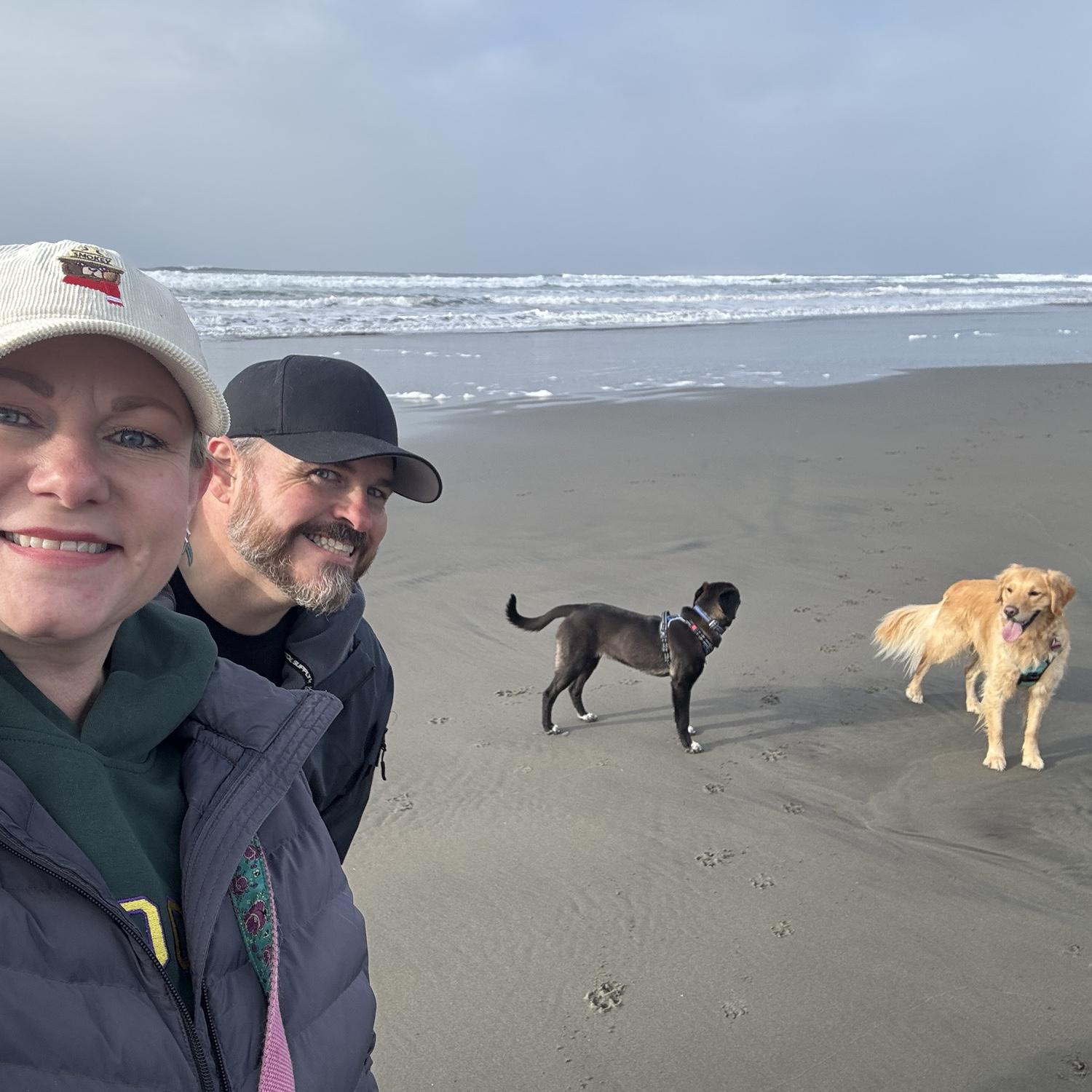 The coast with the dogs