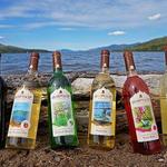 Adirondack Winery & Extreme Heights Cidery Lake George Tasting Room