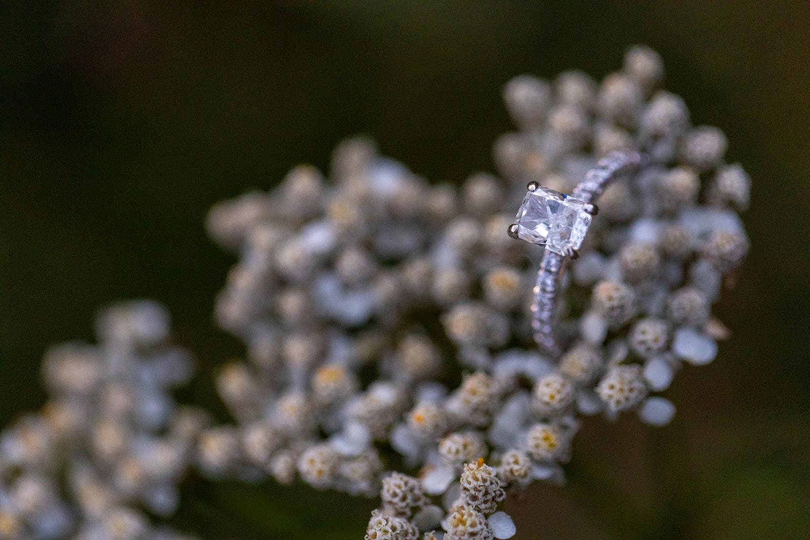 The Wedding Website of Mariah Curtis and Kevin Licata