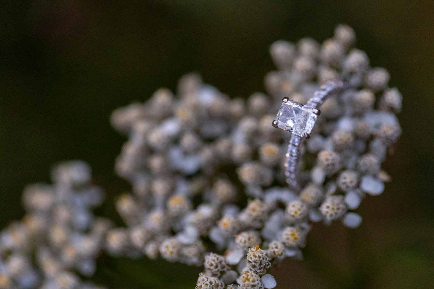 The Wedding Website of Mariah Curtis and Kevin Licata