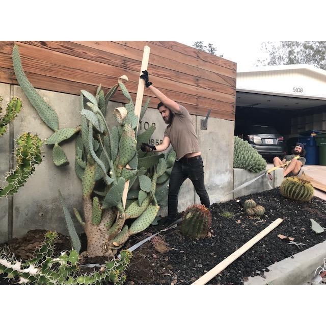 See if you can find Mike - a true friend, helping a friend straighten a prickly cactus out