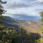 Big Pines Natural Area - Betty Steele and Spur Trail