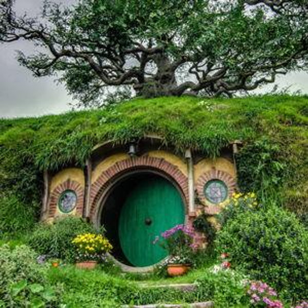 Our Future Home