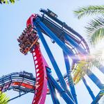 Busch Gardens Tampa Bay