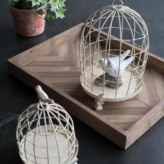 2-Piece Stella Decorative Birdcage with Bird Finial Set