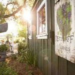 Retzlaff Vineyards