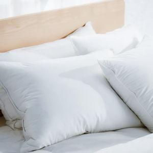 Down Pillow (two pack)
