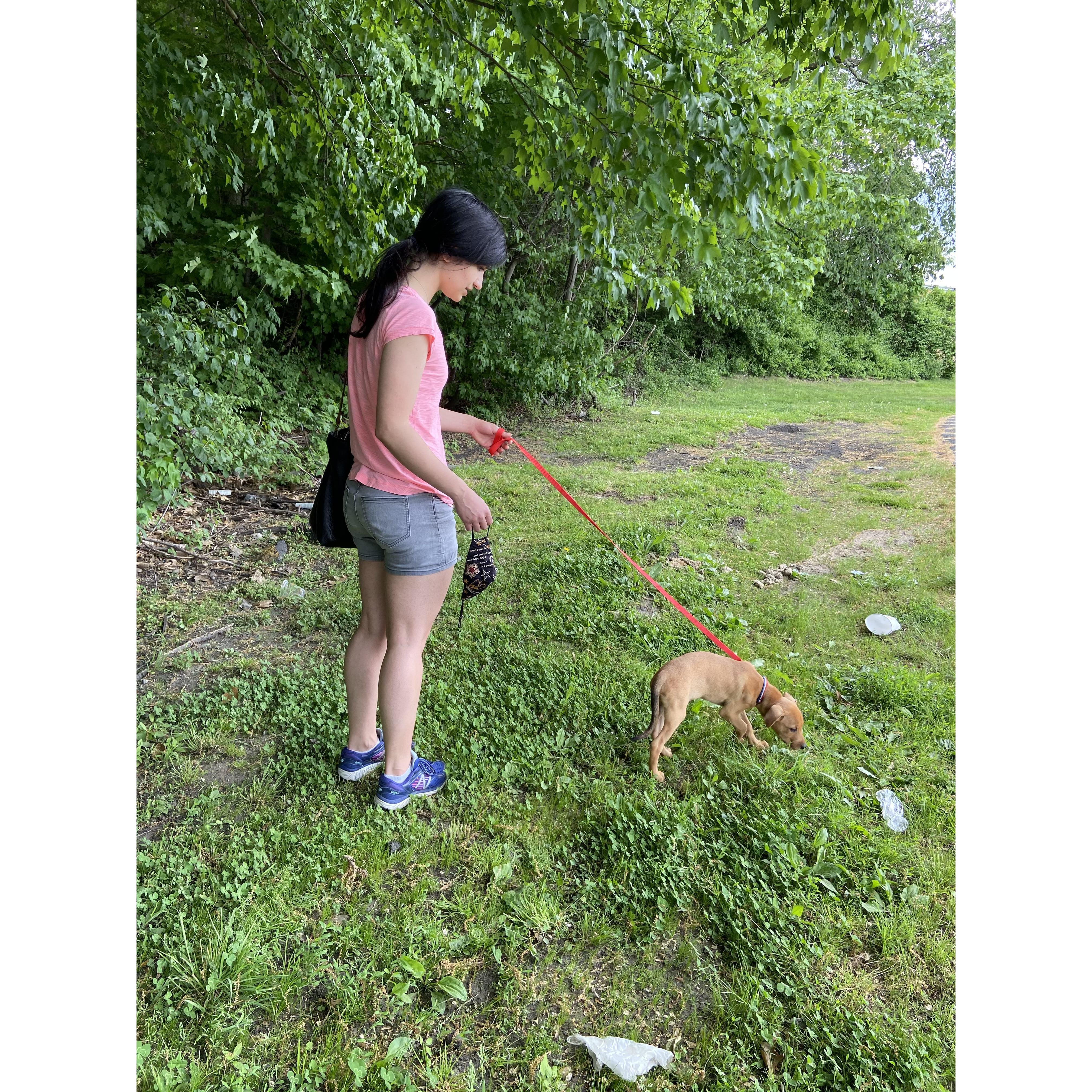 May 2021 - We Adopt Nick