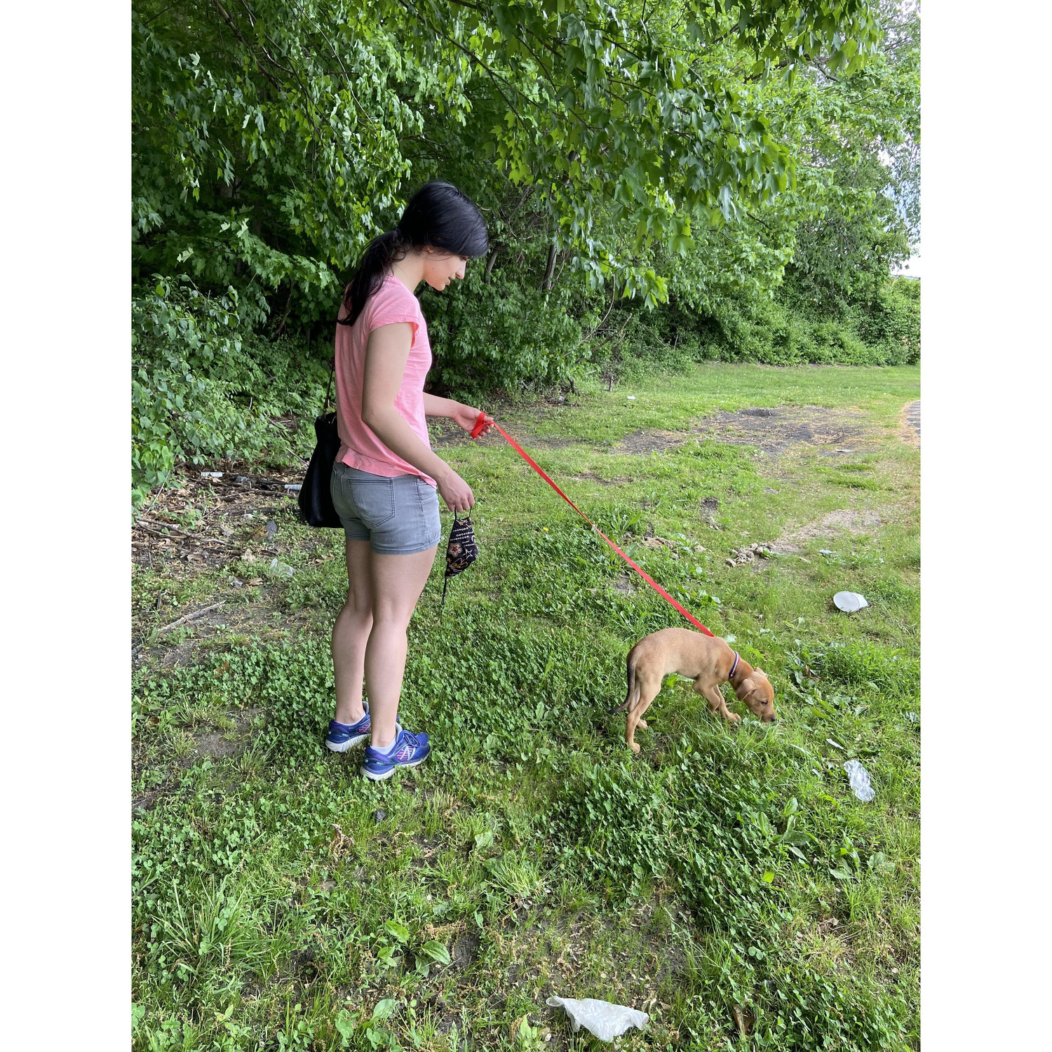 May 2021 - We Adopt Nick