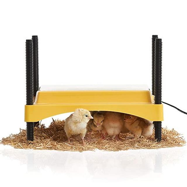 Brinsea Products Ecoglow 20 Safety 600 Brooder for Chicks Or Ducklings, Yellow/Black