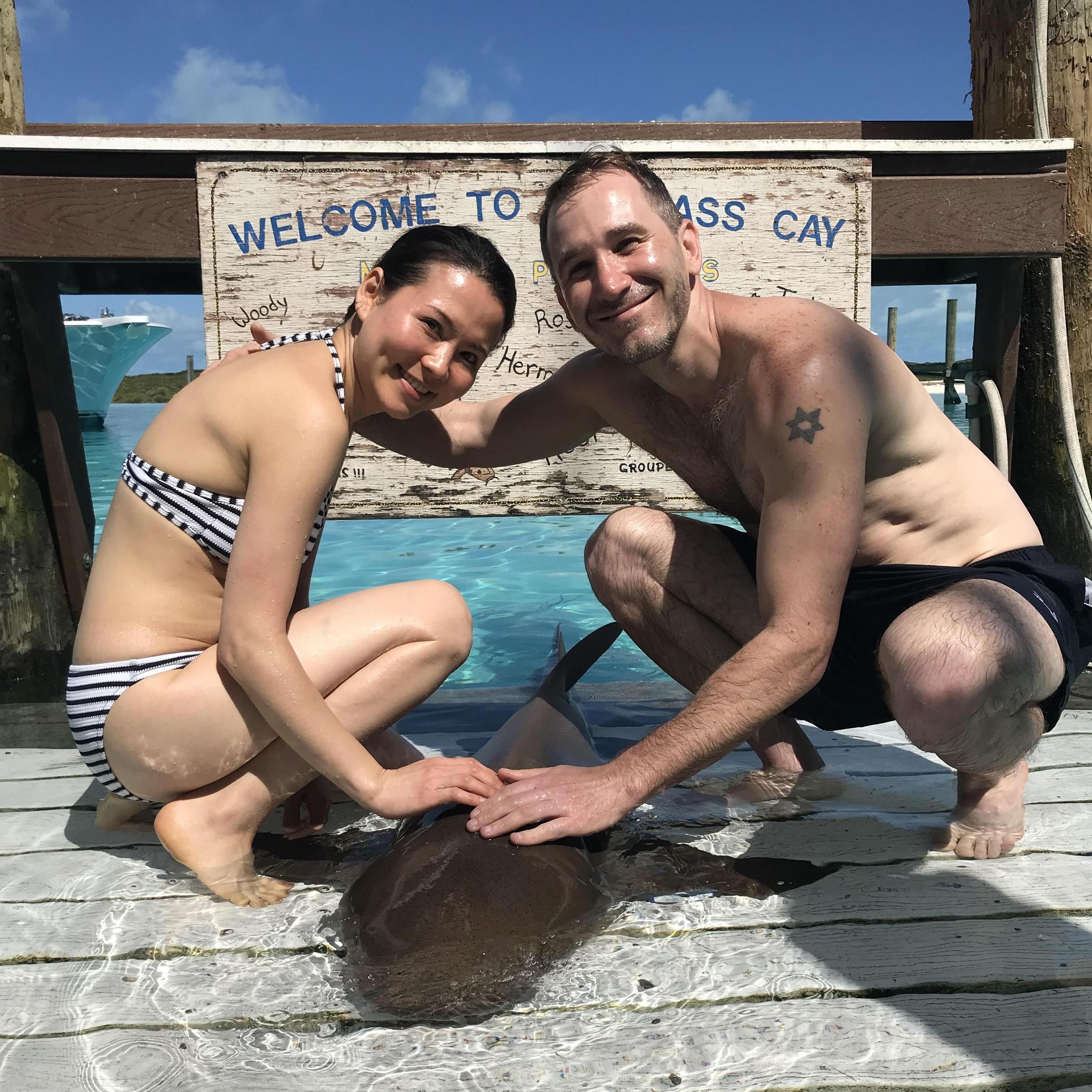 Shark nurse is always our favorite one in Bahamas.