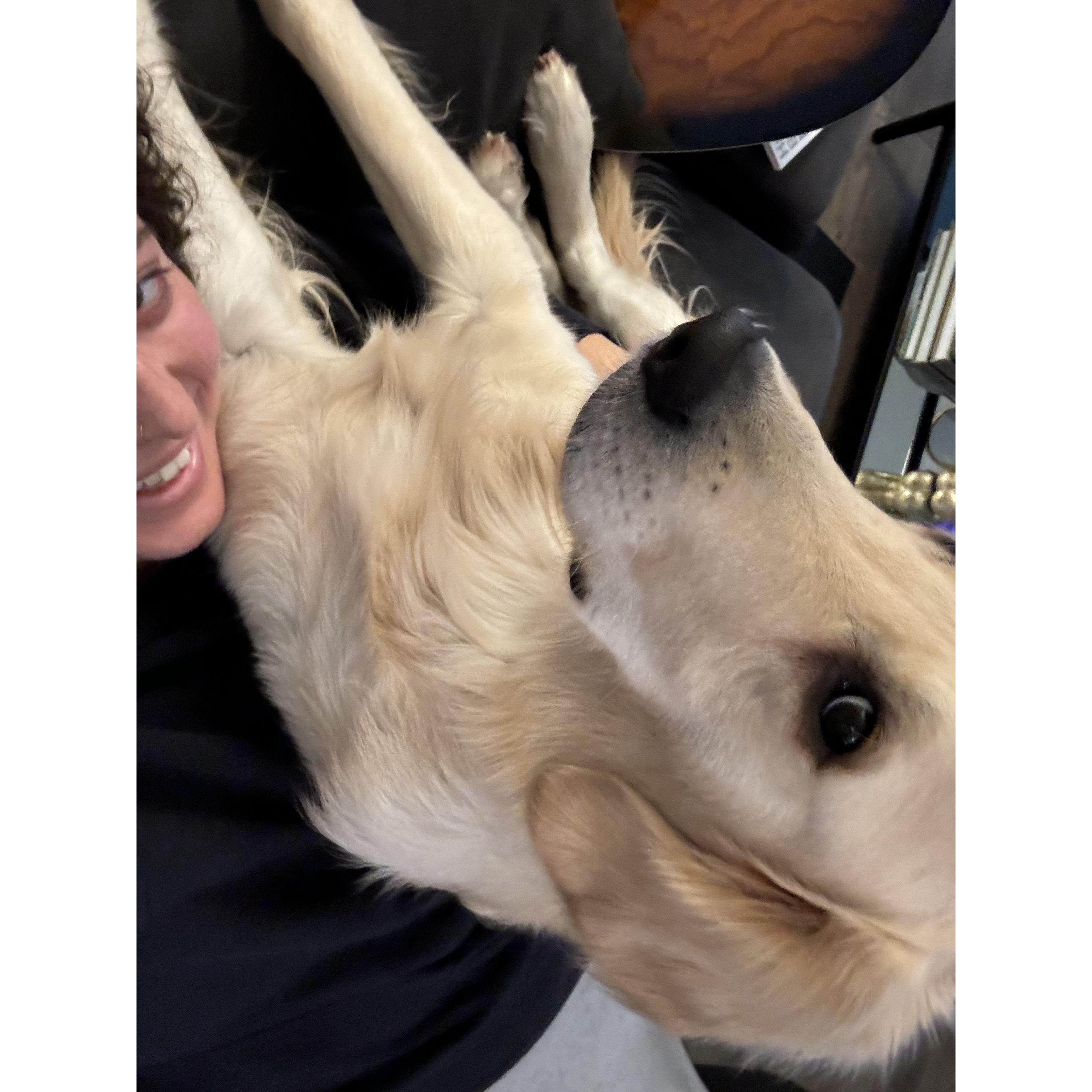 Sitting directly on top of mom, wondering why she's laughing.